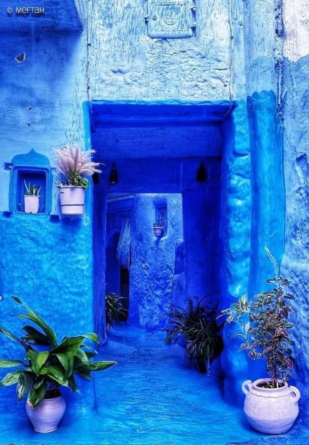 Joli Studio De Charme A Chaouen シェフシャウエン エクステリア 写真